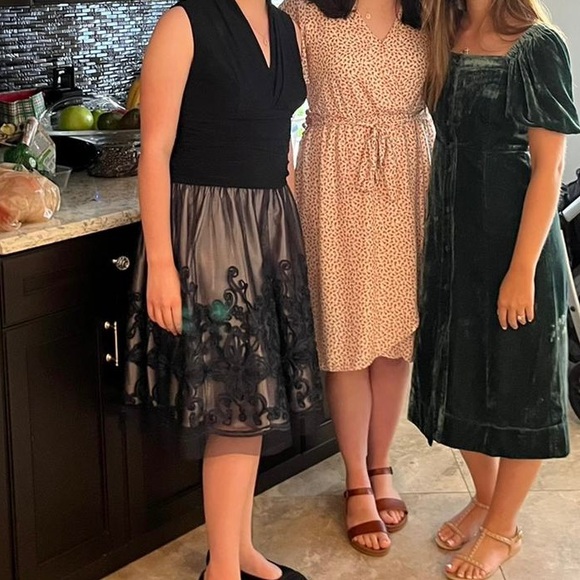 J. CREW Emerald Green VELVET PUFF SLEEVE BUTTON FRONT Square Neck Dress - Picture 12 of 12